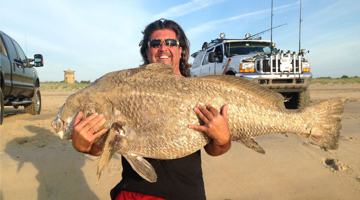 Drum on Fenwick Island Beach